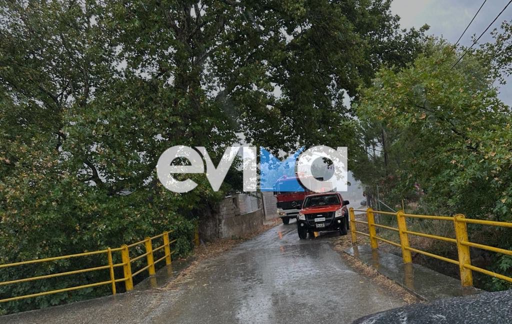 Κακοκαιρία στην Εύβοια: Κεραυνός έπεσε σε στάβλο – Εικόνες