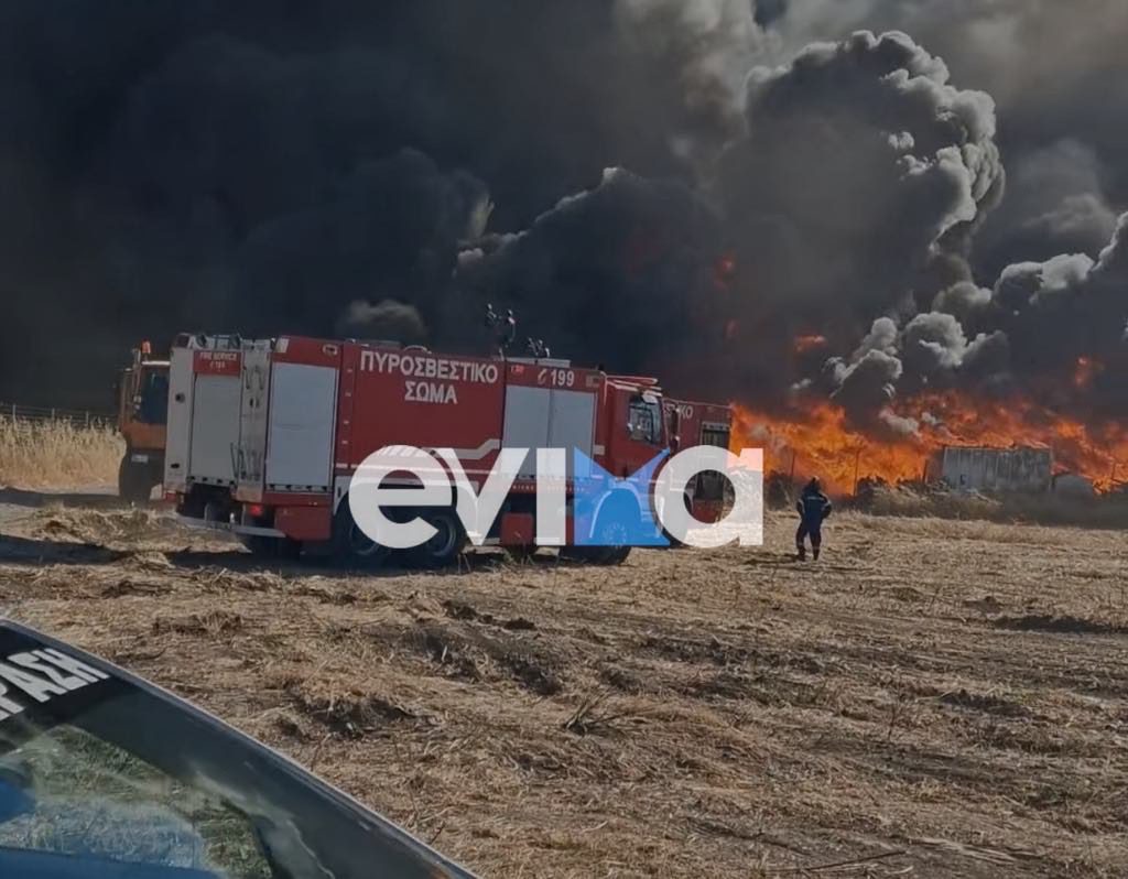 Φωτιά: Υψηλός κίνδυνος σήμερα για Εύβοια και Σκύρο – «Κίτρινος συναγερμός στην Πυροσβεστική