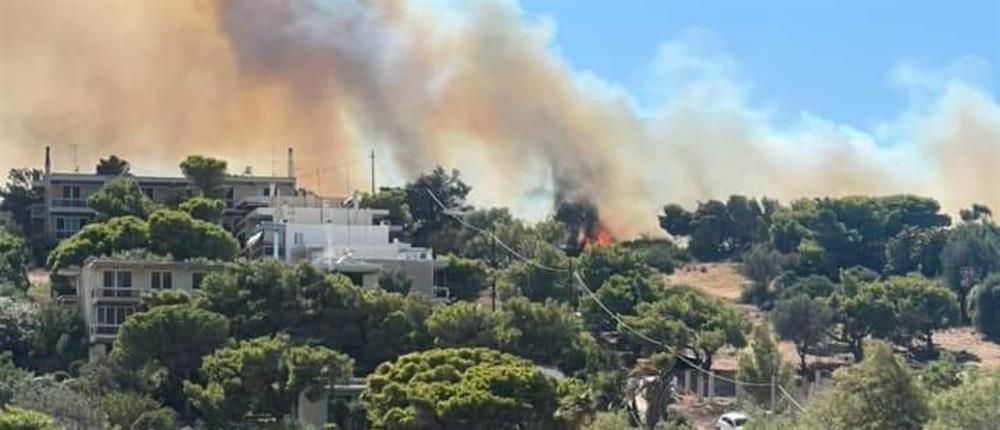 Φωτιά σε πευκοδάσος στο Λαύριο