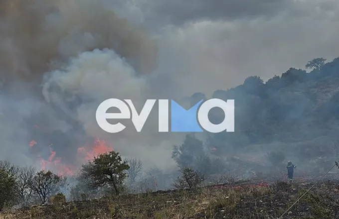 Πολύ υψηλός κίνδυνος πυρκαγιάς σήμερα 20/7 στην Εύβοια