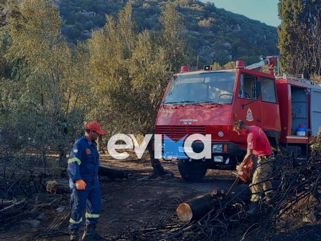 Χωρίς ενεργό μέτωπο η φωτιά στην Εύβοια -Συνολικά 45 φωτιές το τελευταίο 24ωρο