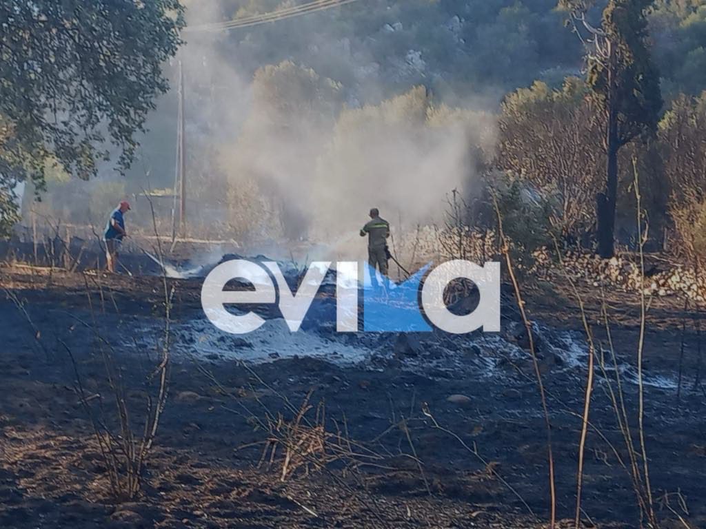 «Κίτρινος» συναγερμός για φωτιά σήμερα στην Εύβοια