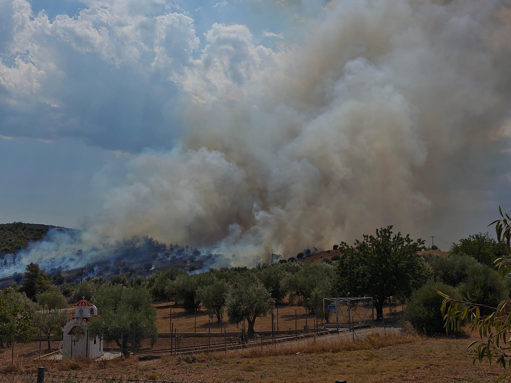 Φωτιά στον Ωρωπό – Ήχησε και στην Εύβοια το 112