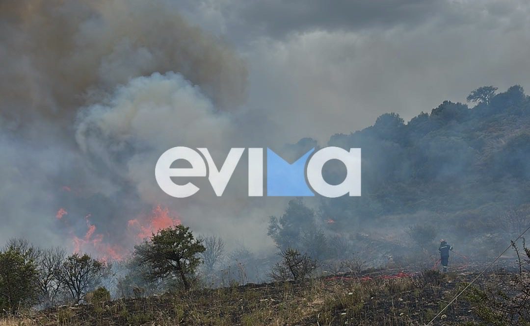 «Πορτοκαλί» συναγερμός για φωτιά σήμερα στην Εύβοια