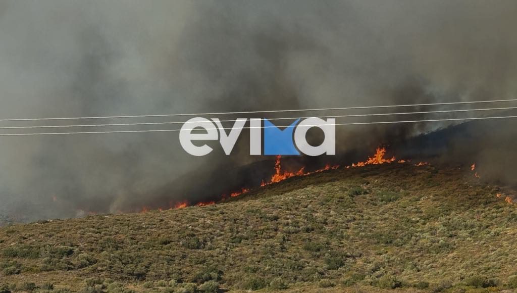 Φωτιά στην Εύβοια: Στο πύρινο μέτωπο ο Βασίλης Κικίλιας