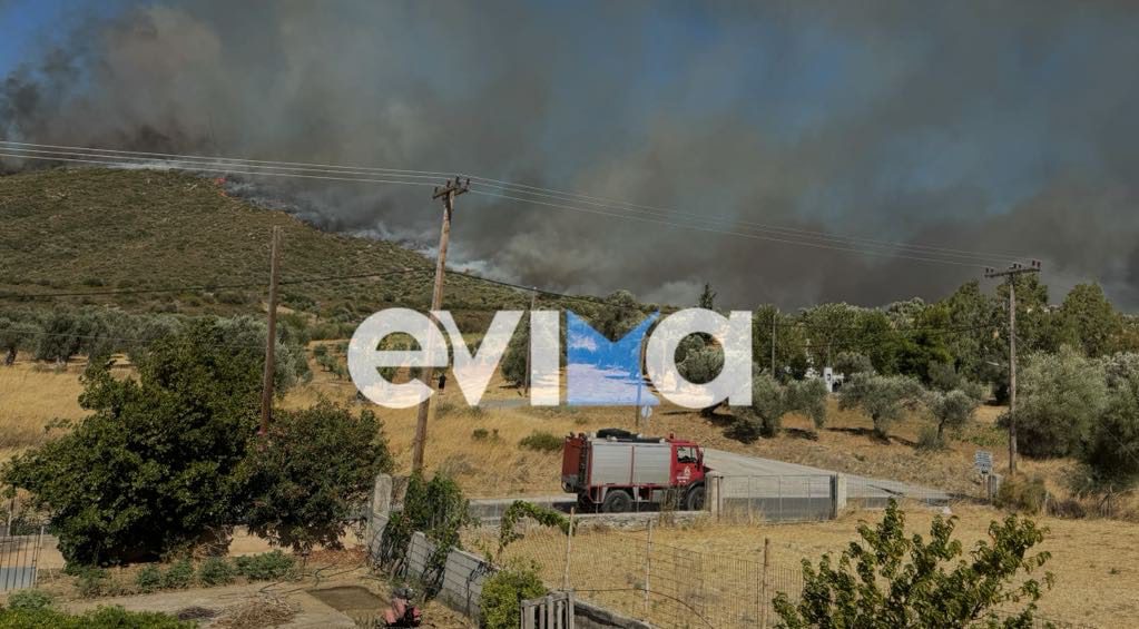 Φωτιά στην Εύβοια: Τραυματίστηκε πυροσβέστης – Μεταφέρεται με ασθενοφόρο στο Κ. Υ. Αλιβερίου