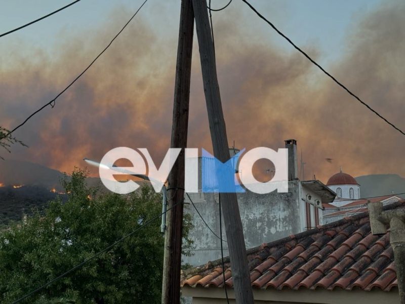 Σπανός για φωτιά στην Εύβοια: Eίμαι πιο αισιόδοξος τώρα αλλά με ανησυχούν οι ισχυροί άνεμοι