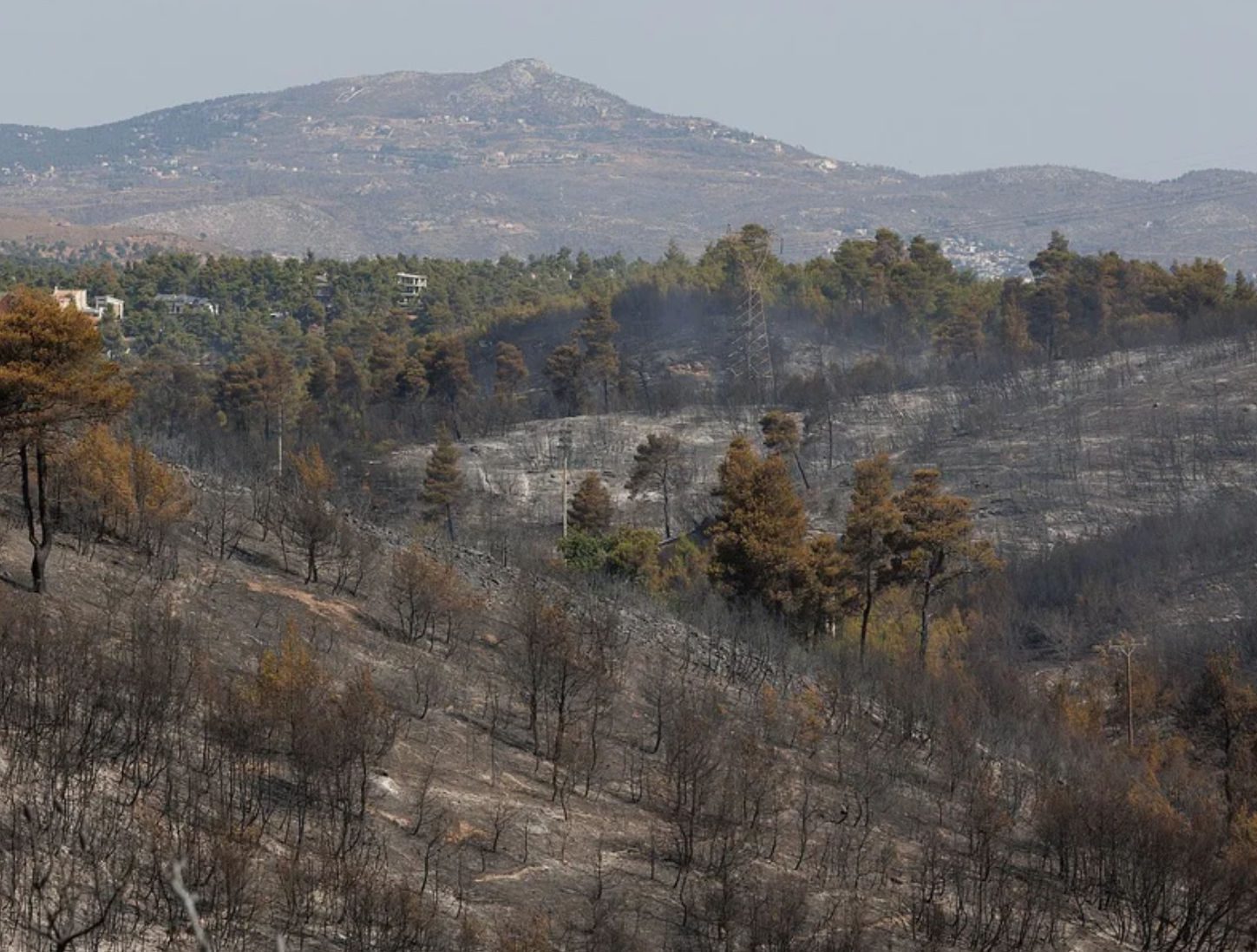 Στάχτη έγιναν 2.000 στρέμματα σε Σταμάτα και Πάρνηθα – Οι φλόγες άφησαν πίσω τους καμένα δέντρα, σπίτια και αυτοκίνητα