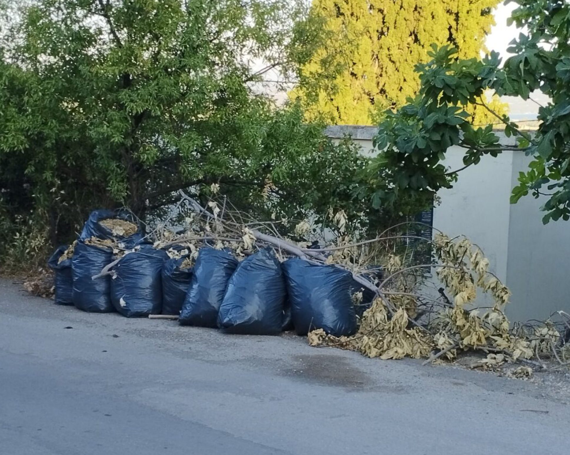 Εύβοια: Στα κάγκελα οι κάτοικοι με ακαθάριστα οικόπεδα