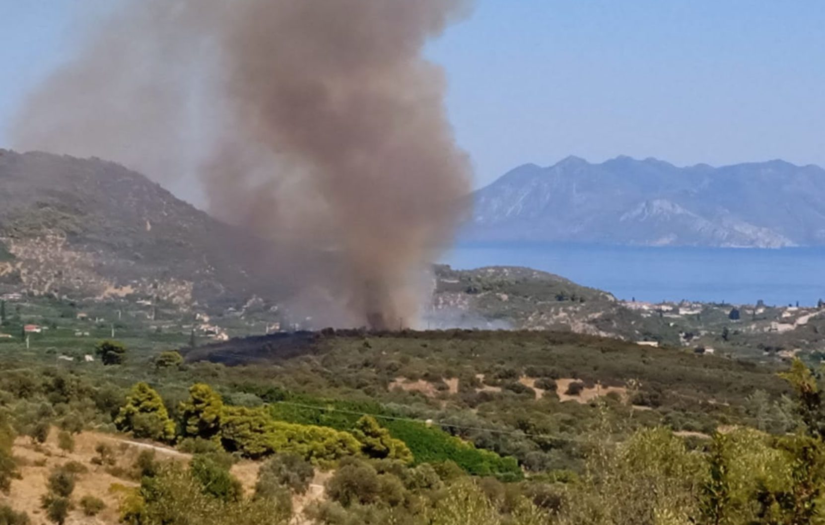 Μεγάλη φωτιά στην Άνω Επίδαυρο – Δεν απειλούνται κατοικίες