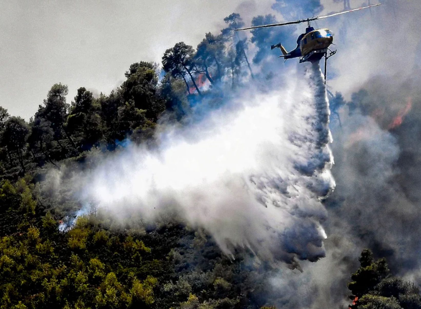 Τρεις συλλήψεις για την πυρκαγιά στην Κορομηλιά Δομοκού