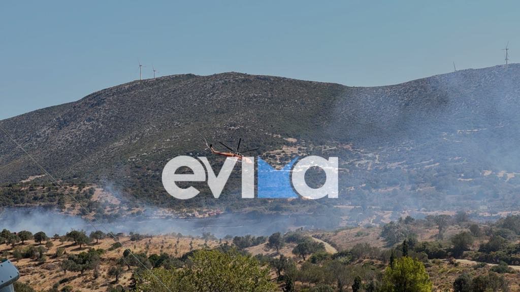 Φωτιά στην Εύβοια: Νέα αναζωπύρωση τώρα – Εικόνες