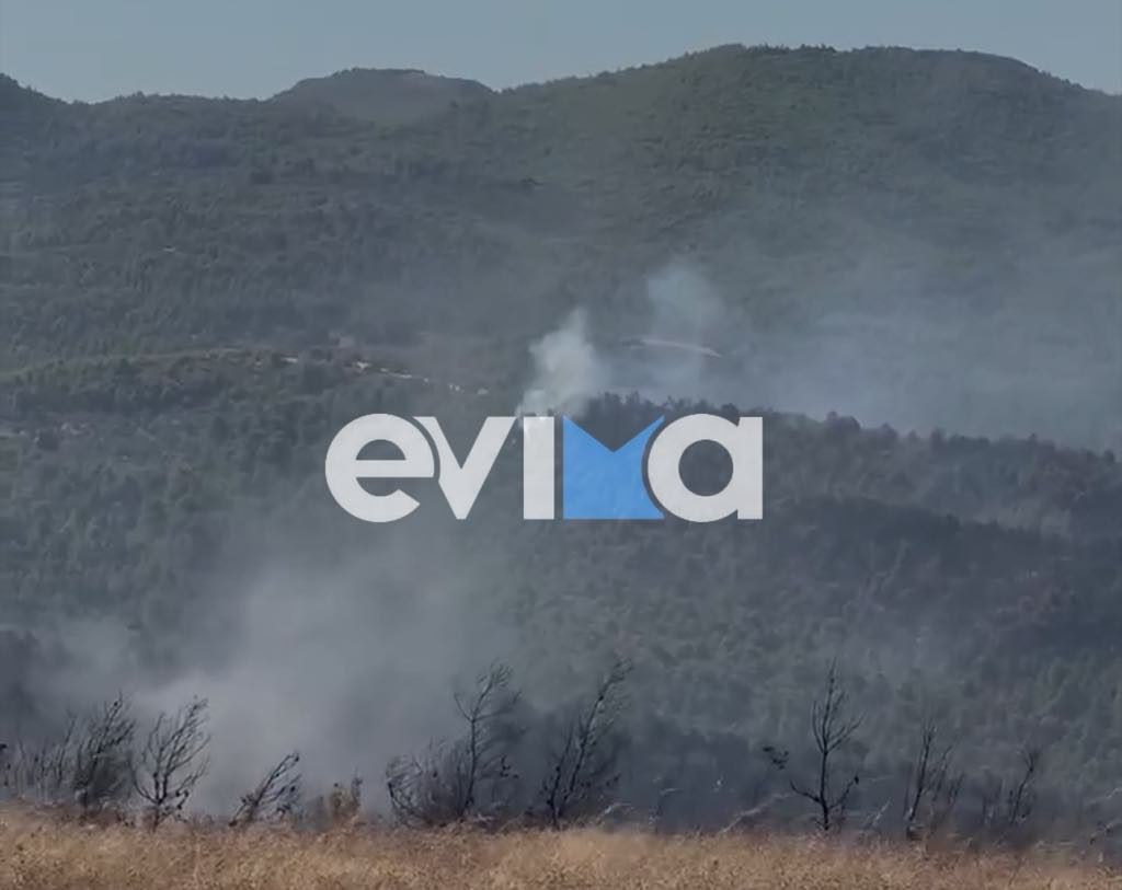 Φωτιά στην Εύβοια: Ανετράπη πυροσβεστικό όχημα σε χαράδρα- Αγνοείτε ο οδηγός