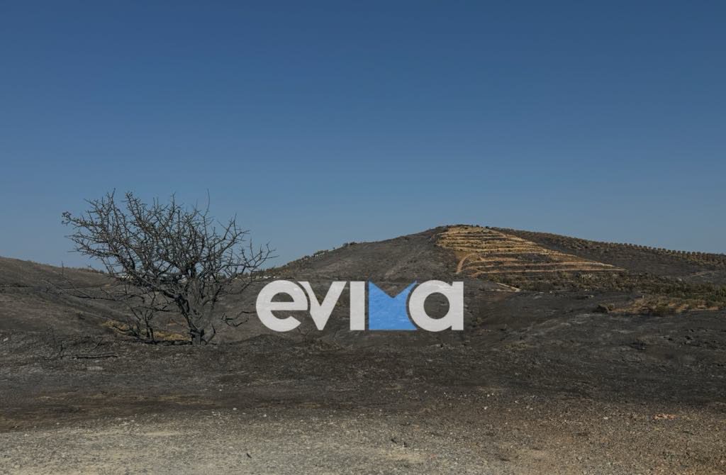 Εύβοια: Σε κατάσταση έκτακτης ανάγκης κηρύχθηκαν οι πυρόπληκτες περιοχές της Δ. Ε. Δυστίων