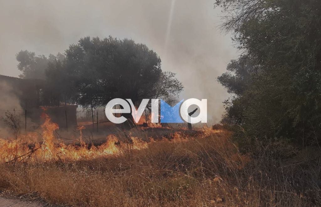 Μεγάλη φωτιά τώρα στην Εύβοια: Οι φλόγες έχουν περικυκλώσει τα σπιτια – Συγκλονιστικό βίντεο