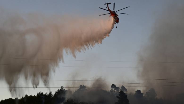 Φωτιά σε δασική έκταση στη Φθιώτιδα: Σηκώθηκαν εναέρια μέσα