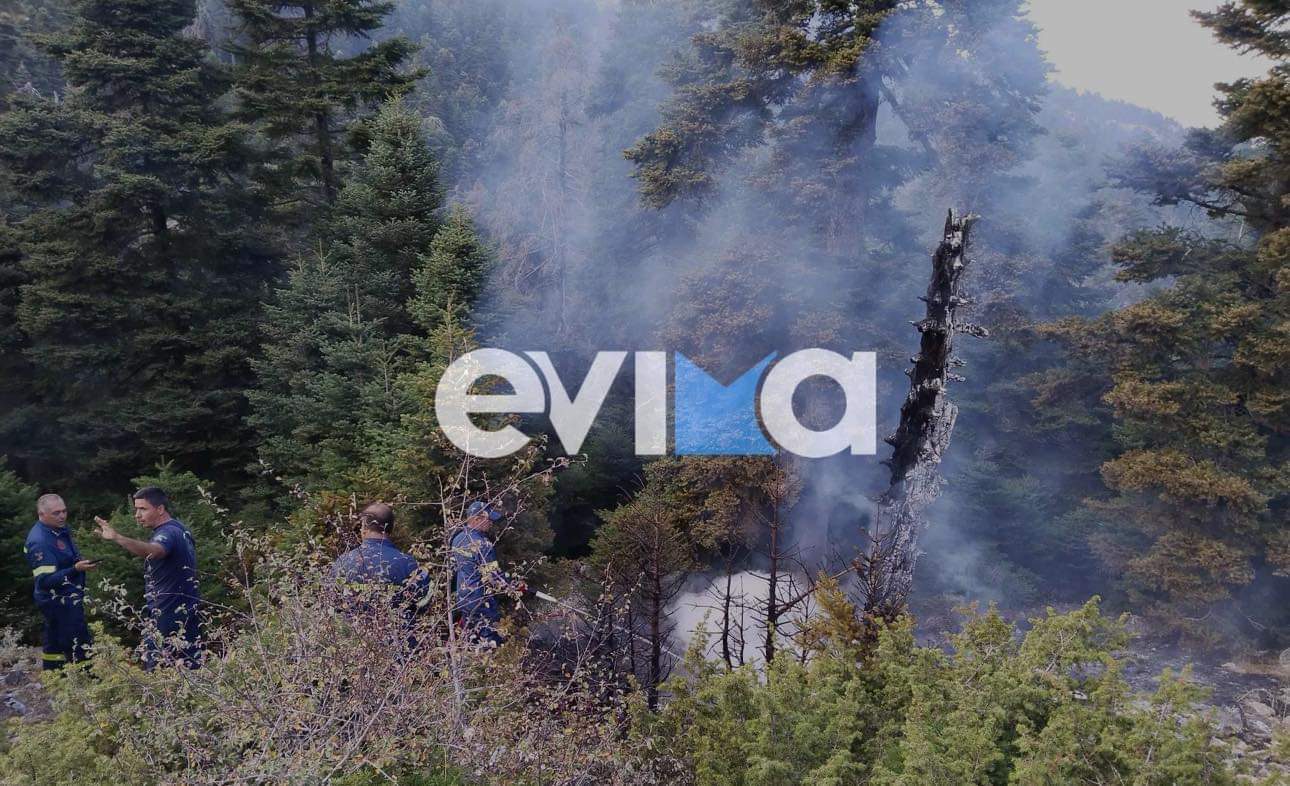 Φωτιές: 53 το τελευταίο 24ωρο – Μία στην Εύβοια από κεραυνό