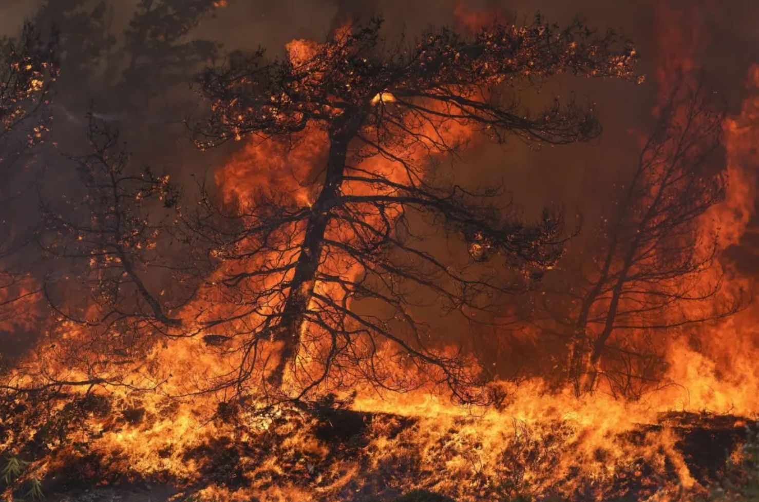 Τι είναι οι Megafires και γιατί απειλούν την Εύβοια