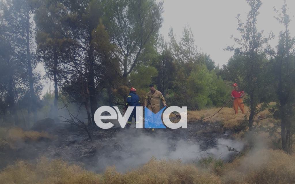 Φωτιά στην Εύβοια από κεραυνό – Εικόνες