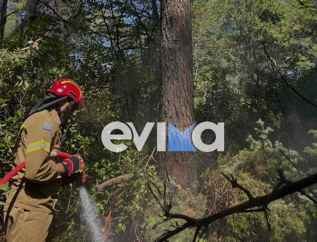 Νέα φωτιά τώρα στην Εύβοια από κεραυνό – Οι πρώτες εικόνες