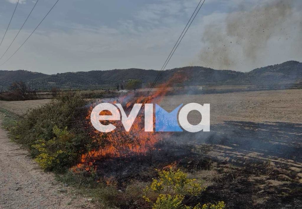 Εύβοια: Φωτιά στον Κάμπο του Δύστου – Πως προκλήθηκε (εικόνες)