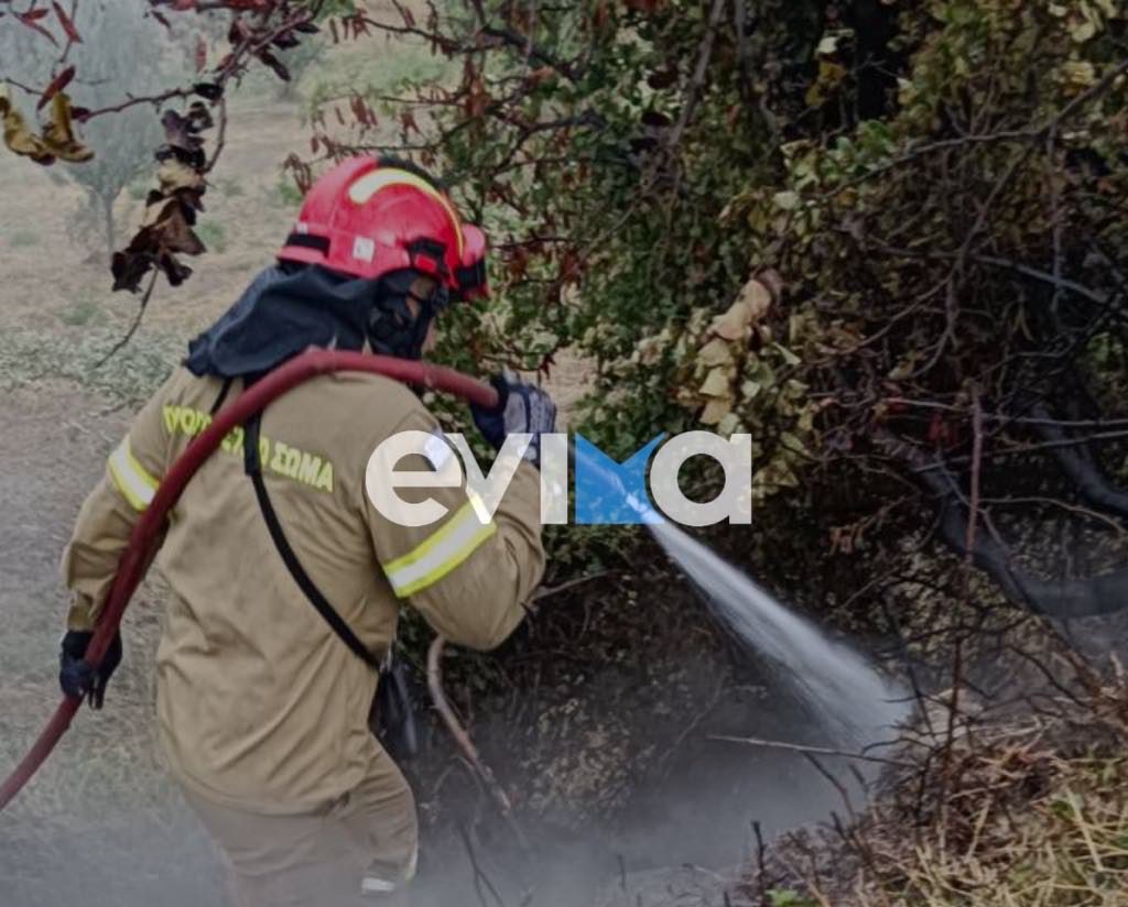 Φωτιά τώρα στην Εύβοια – Καίει ελιές και ξερά χόρτα