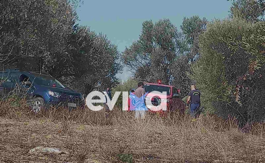 Εύβοια: Υπό έλεγχο η φωτιά στην Αμφιθέα – Πως προκλήθηκε