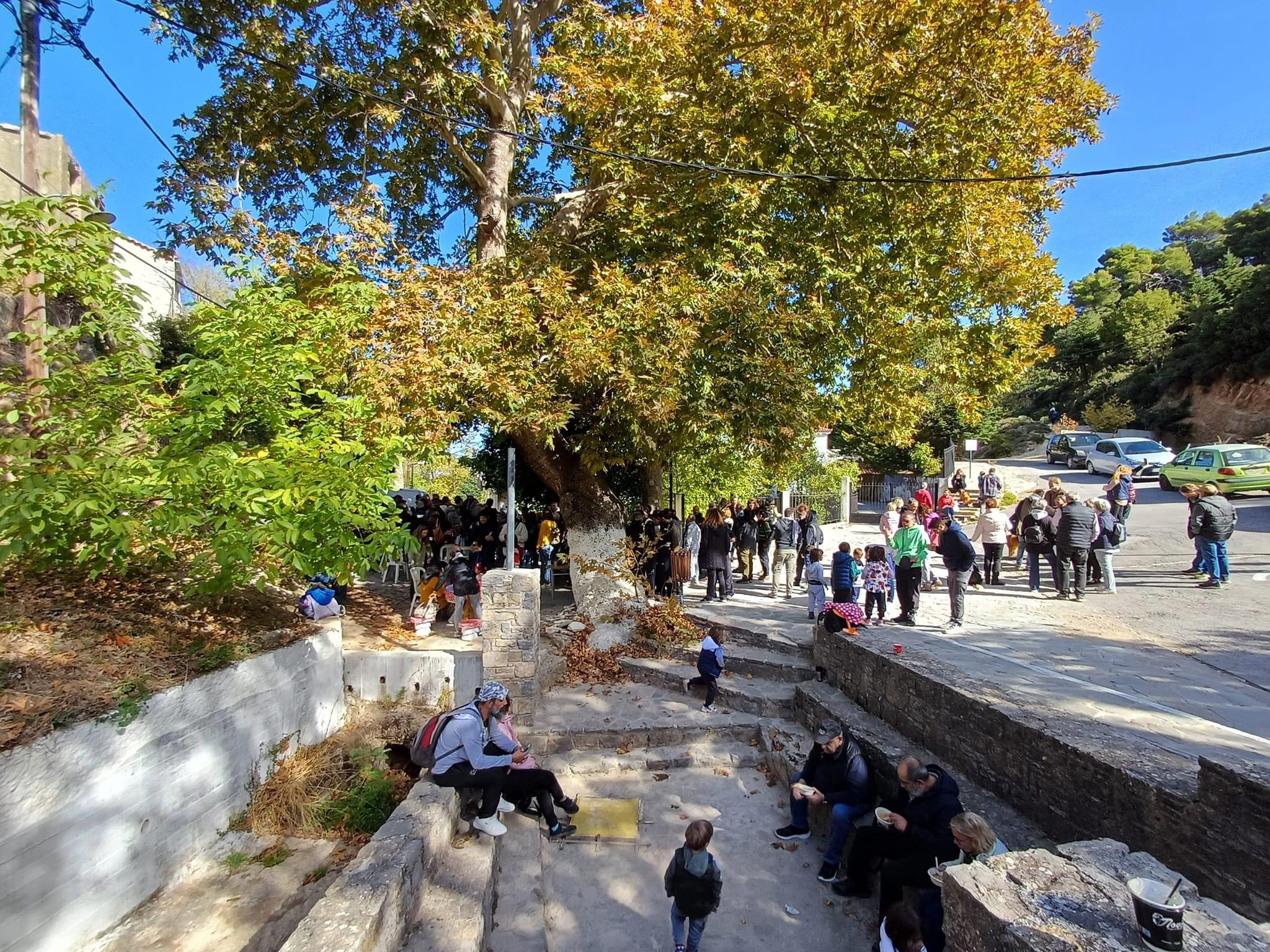 Γέμισε με κόσμο η «Ελβετία» της Εύβοιας στην 1η γιορτή Μανιταριού