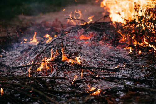 Φωτιά στην Εύβοια: Έκαψε κλαριά και τον τσάκωσε η Πυροσβεστική