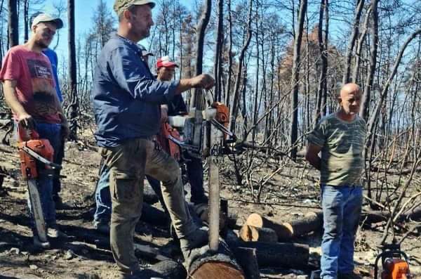 Εύβοια: ΛΑΡΚΟ και ρητινοκαλλιεργητές «επί τάπητος» στο Υπουργείο Εργασίας