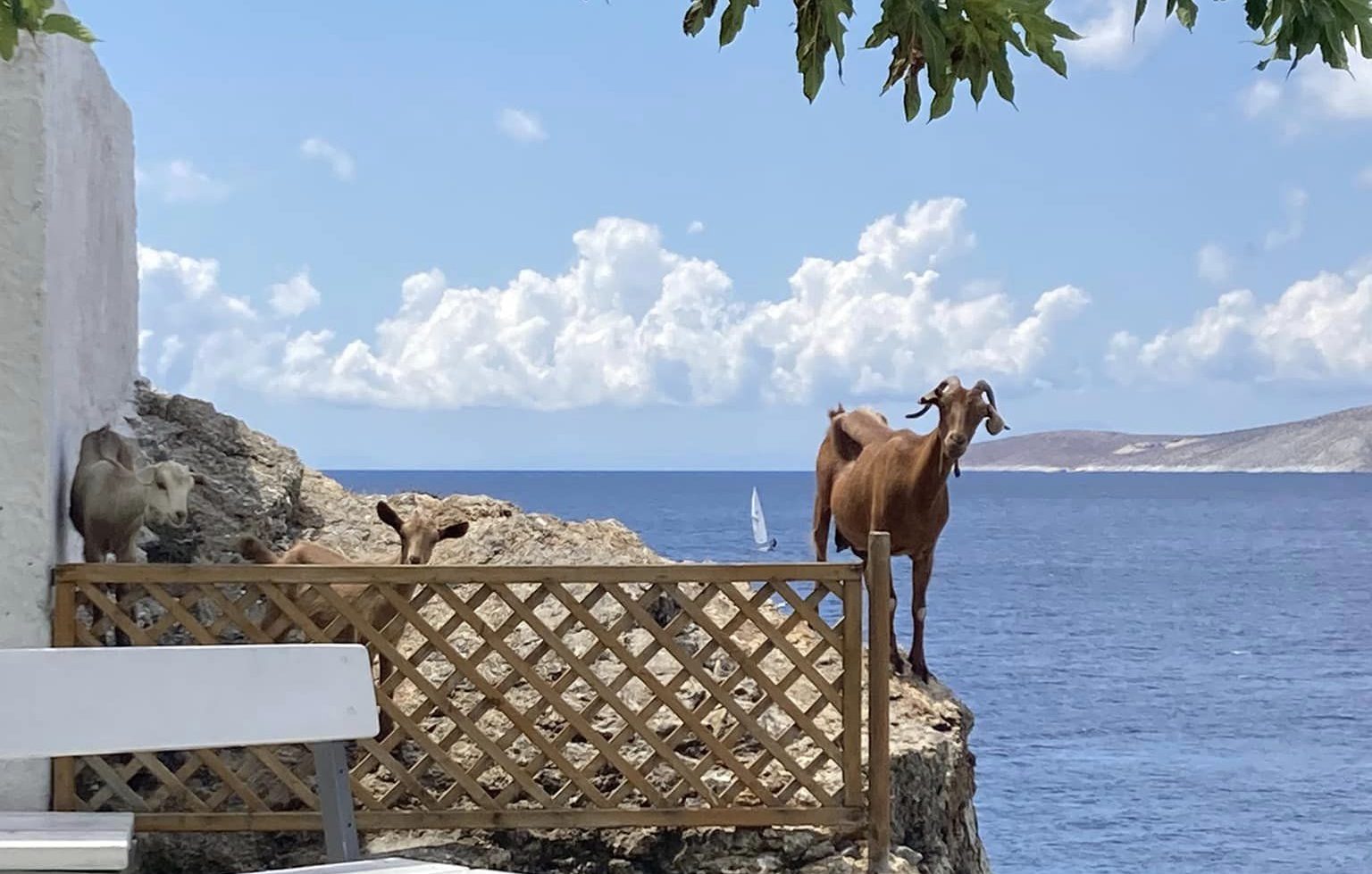 Καλός ο καιρός σήμερα σε Εύβοια και Σκύρο – Που θα φτάσει η θερμοκρασία