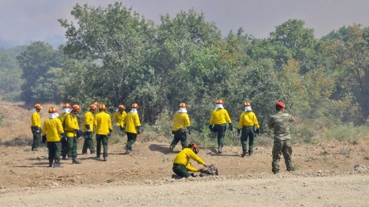 Εύβοια: Ιδρύεται μονάδα με 60 δασοκομάντος