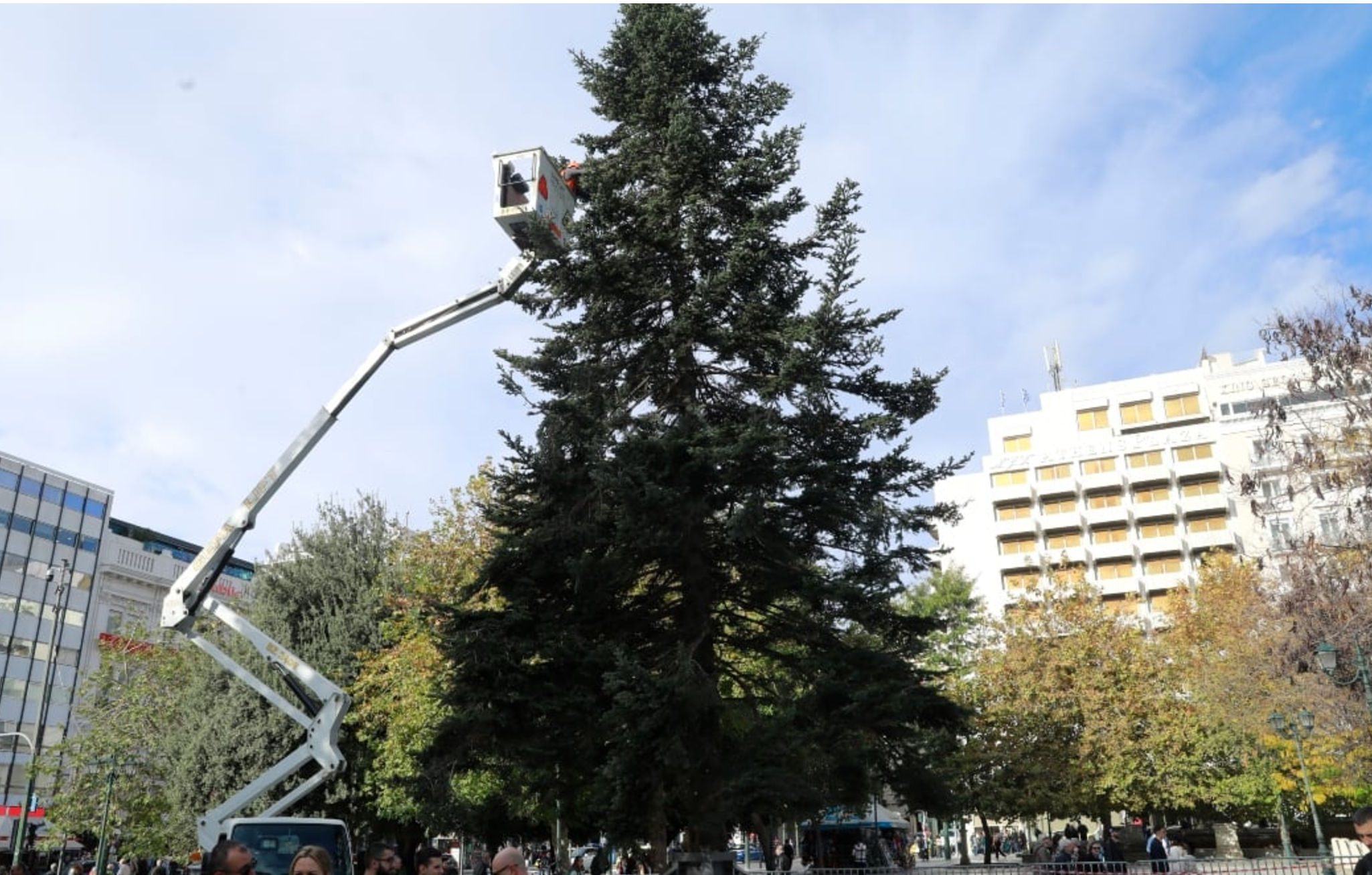 Ανάβει το Χριστουγεννιάτικο Δέντρο στο Σύνταγμα – Η ημερομηνία