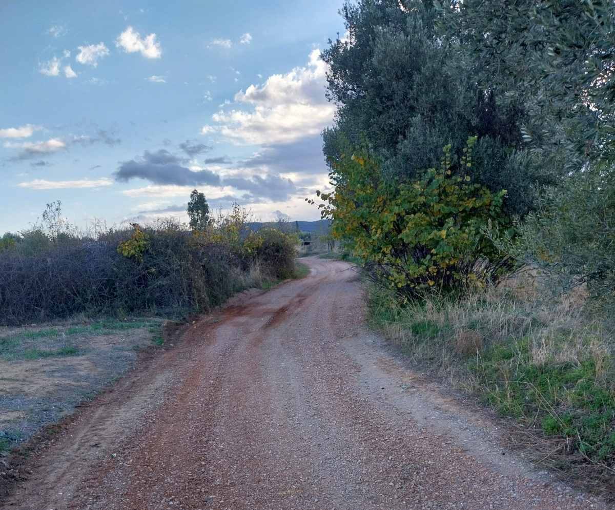 Εύβοια: Βελτιώνονται οι αγροτικοί δρόμοι στο Αλιβέρι – Εικόνες