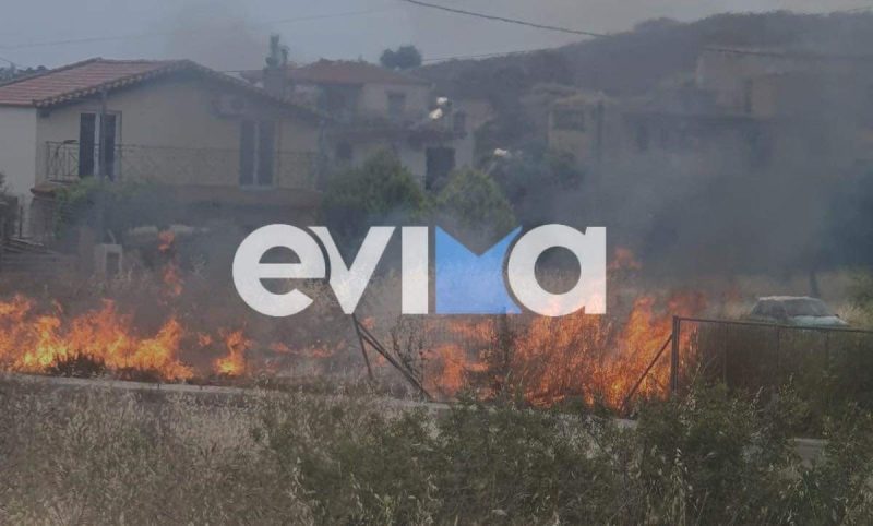 Φωτιά τώρα σε οικισμό στην Χαλκίδα