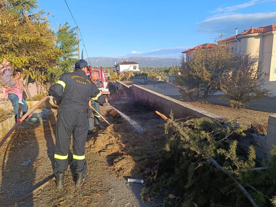 Ερέτρια: Φωτιά στο δρόμο προς Γέροντα