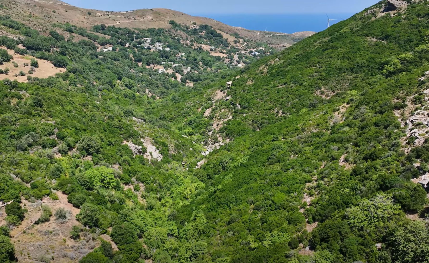 Από την Εύβοια στην Ισπανία για τη «σφυριχτή γλώσσα»