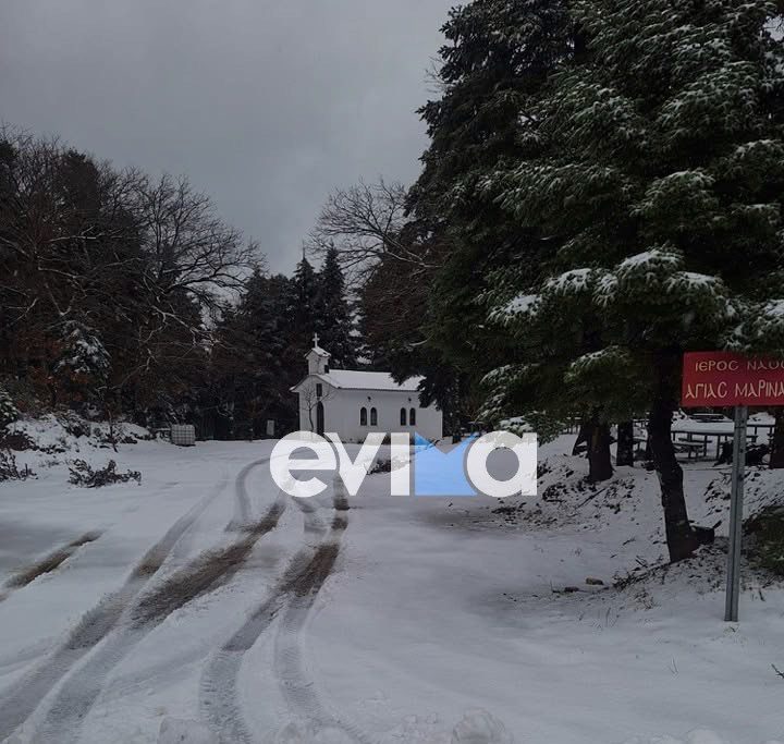 Εύβοια: Τα χιόνια έκλεισαν δρόμο στο Μετόχι – Εκχιονιστικά μηχανήματα στο σημείο