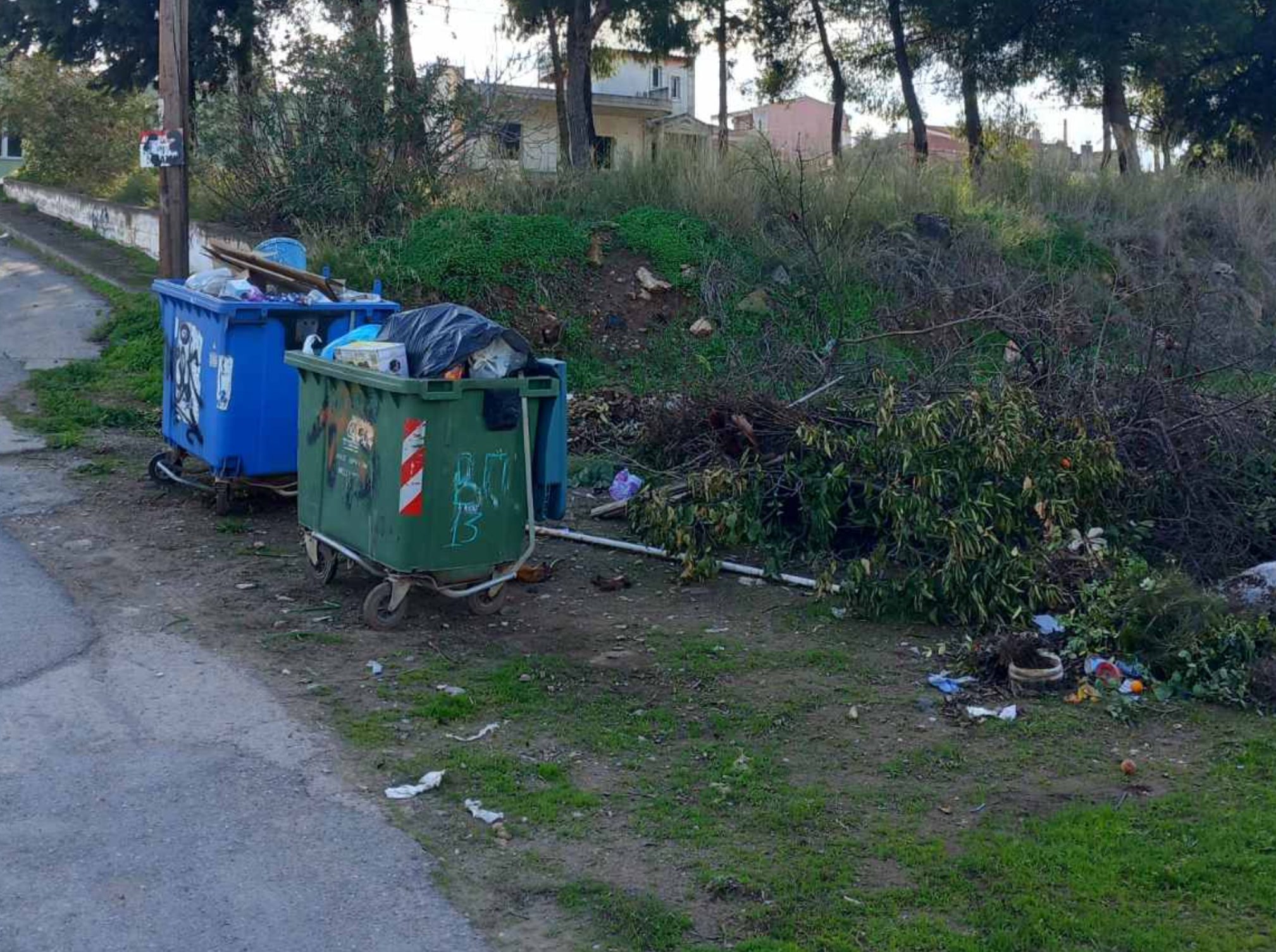 Εύβοια: Εικόνα ντροπής από τα σκουπίδια κοντά στο Πανεπιστήμιο