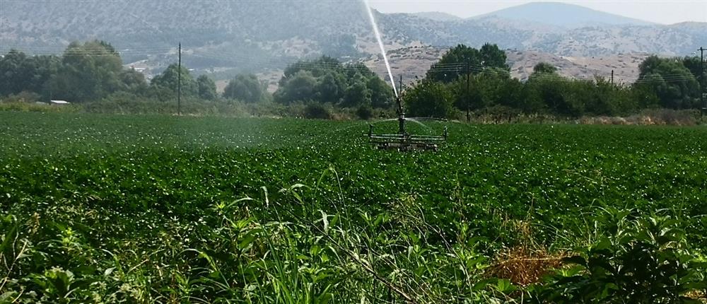 Πως η Κλιματική Αλλαγή επηρεάζει την παραγωγικότητα των εργαζομένων