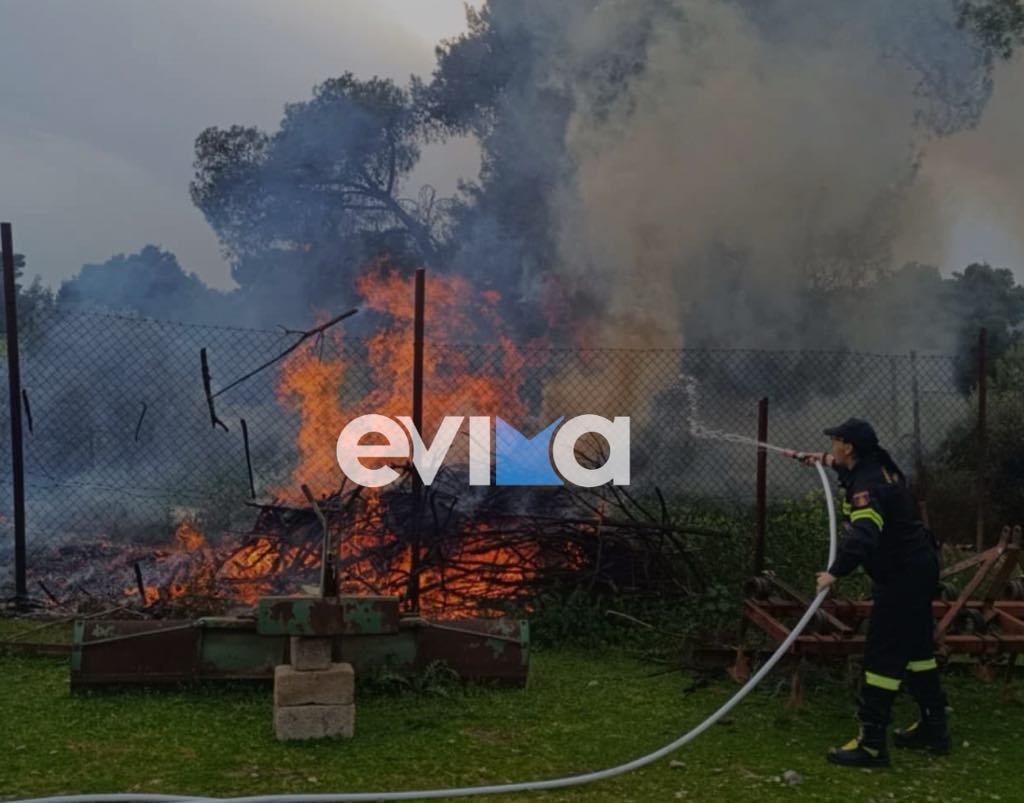 Εύβοια: Έβαλε φωτιά σε κλαριά παρά την απαγόρευση και παραλίγο να κάψει πεύκα (εικόνες)