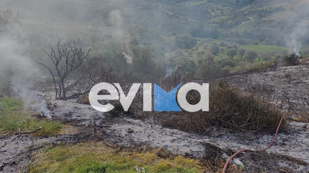 Νέα φωτιά σε δασική έκταση στην Εύβοια