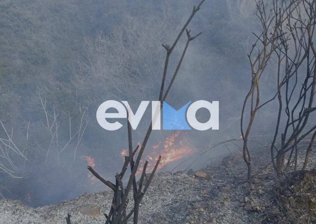 Έκτακτη σύσκεψη υπό τον Κικίλια για τις τελευταίες φωτιές